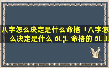 八字怎么决定是什么命格「八字怎么决定是什么 🦋 命格的 🐎 人」